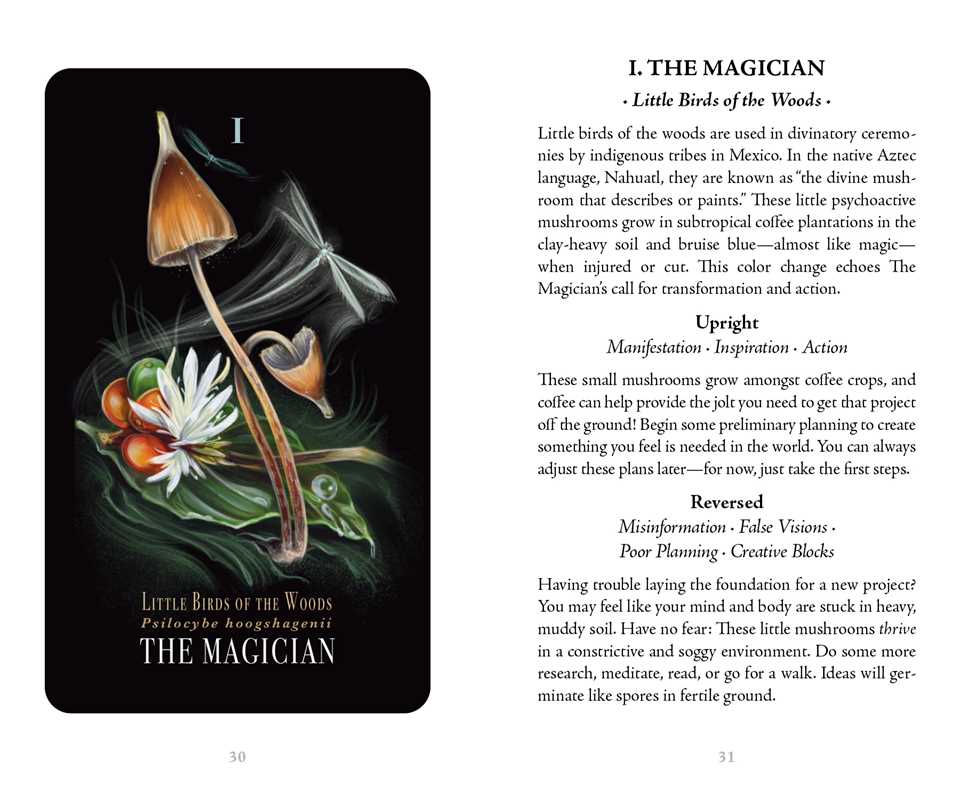 Mushroom Tarot Deck | Midnight Magic by Sara Richard