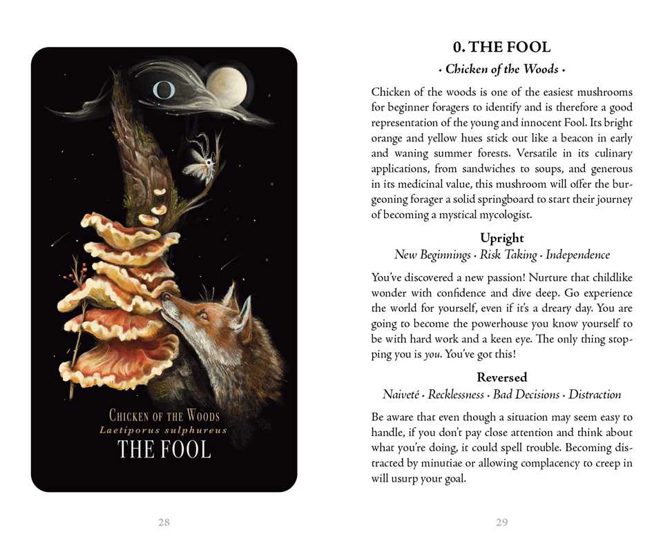 Mushroom Tarot Deck | Midnight Magic by Sara Richard