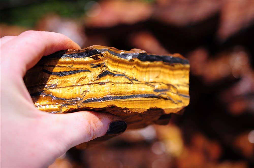 Rough Top Gold Tiger Eye -Africa - Raw Natural Stones (1 lb)