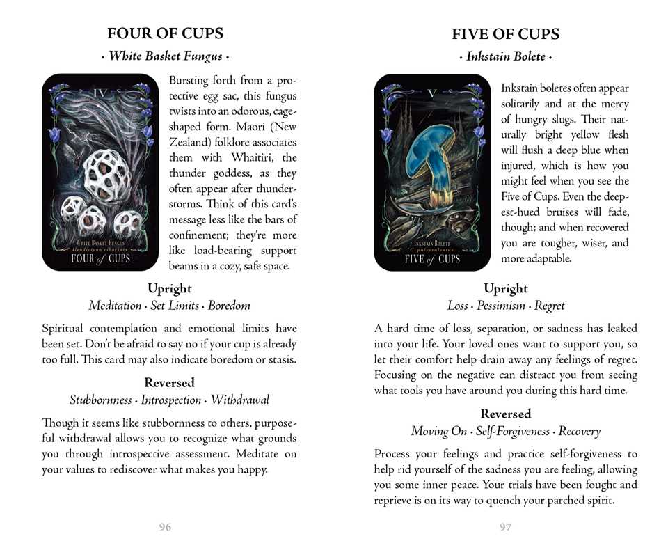 Mushroom Tarot Deck | Midnight Magic by Sara Richard