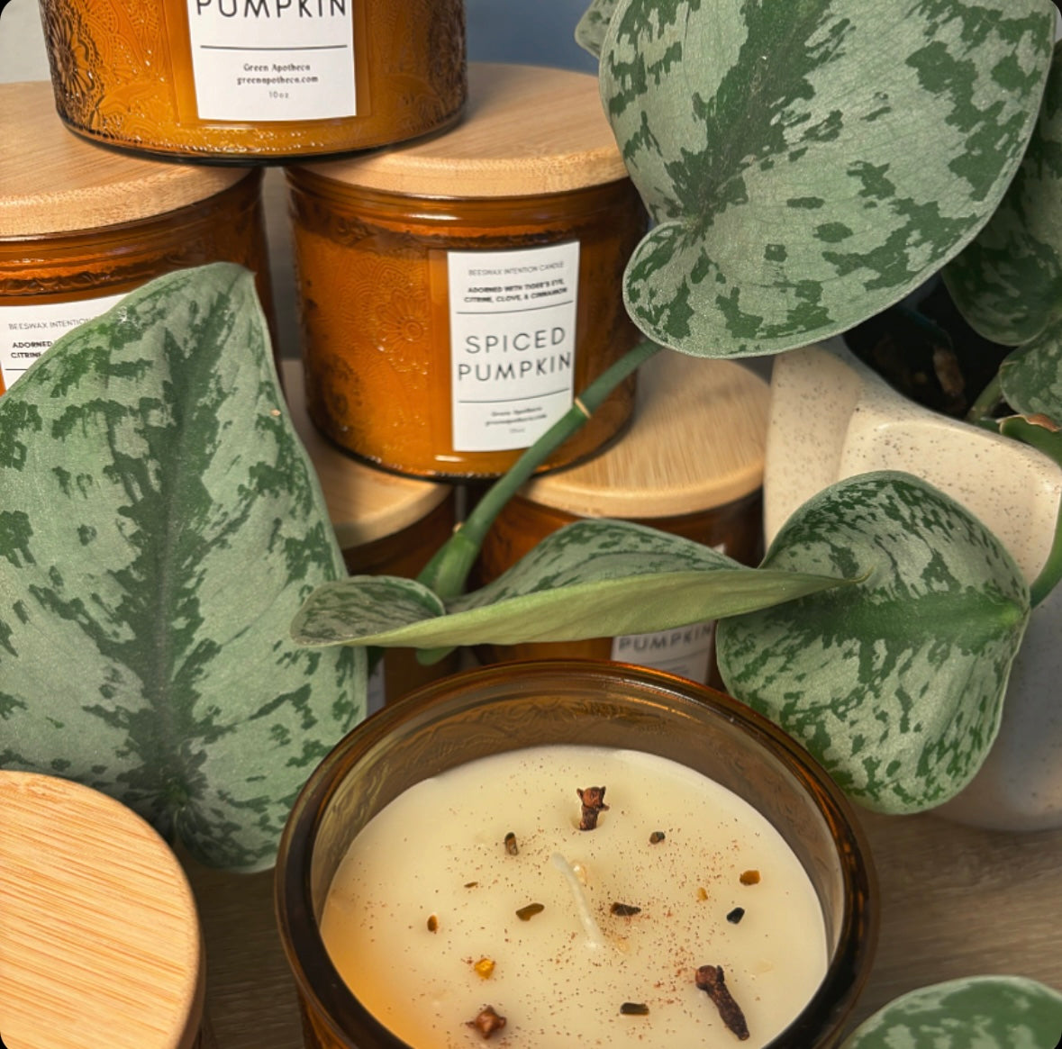 Spiced Pumpkin | Intention Candle