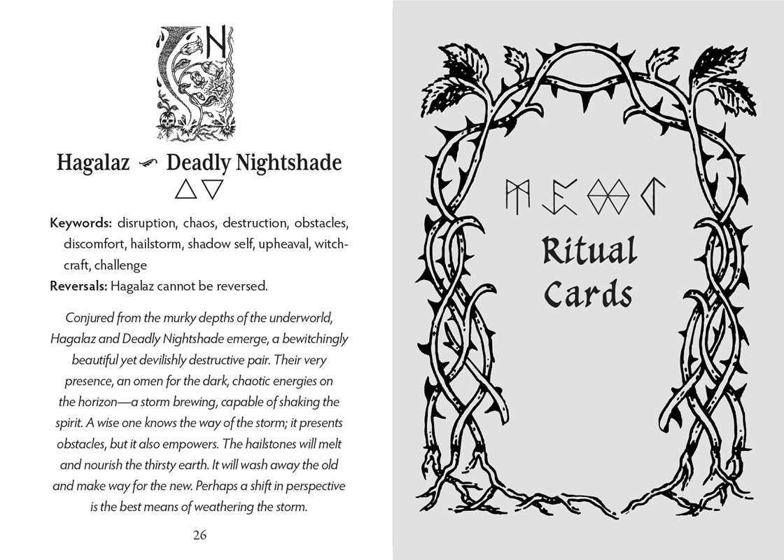 Runes and Roots Oracle by Nicolette Miele: Flashcards; 144 pages / English