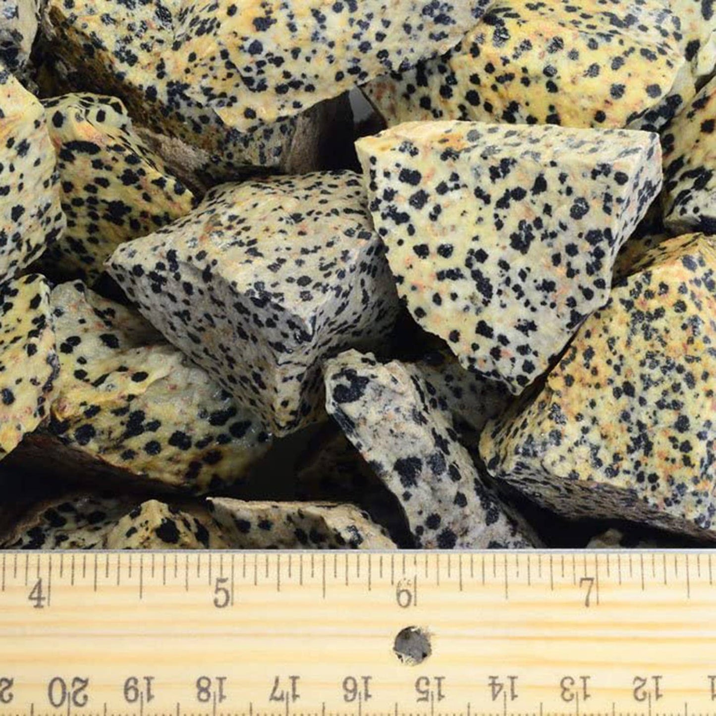 Rough Dalmation Jasper -Mexico-1-2" Raw Natural Stones (1lb)
