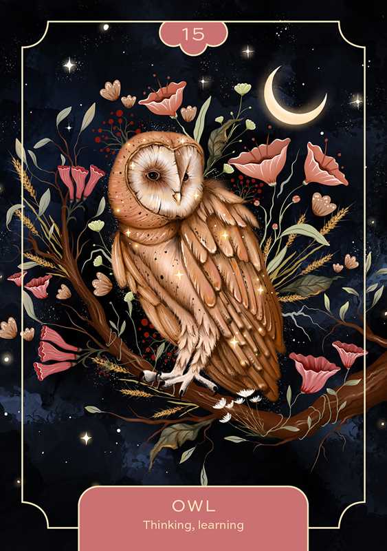 Animal Spirit Oracle by Lea  Androic: Flashcards; 96 pages / English