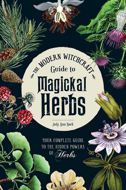 Modern Witchcraft Guide to Magickal Herbs by Judy Ann Nock | Hardcover