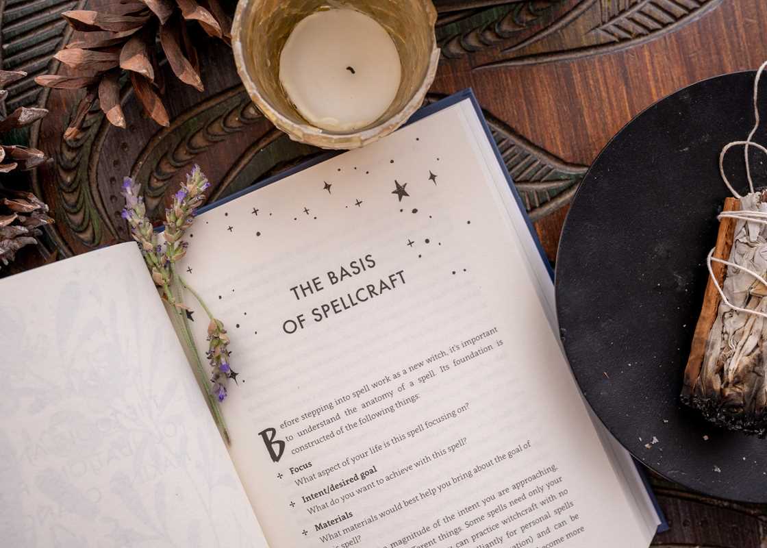 Spells for Change by Frankie  Castanea | Hardcover