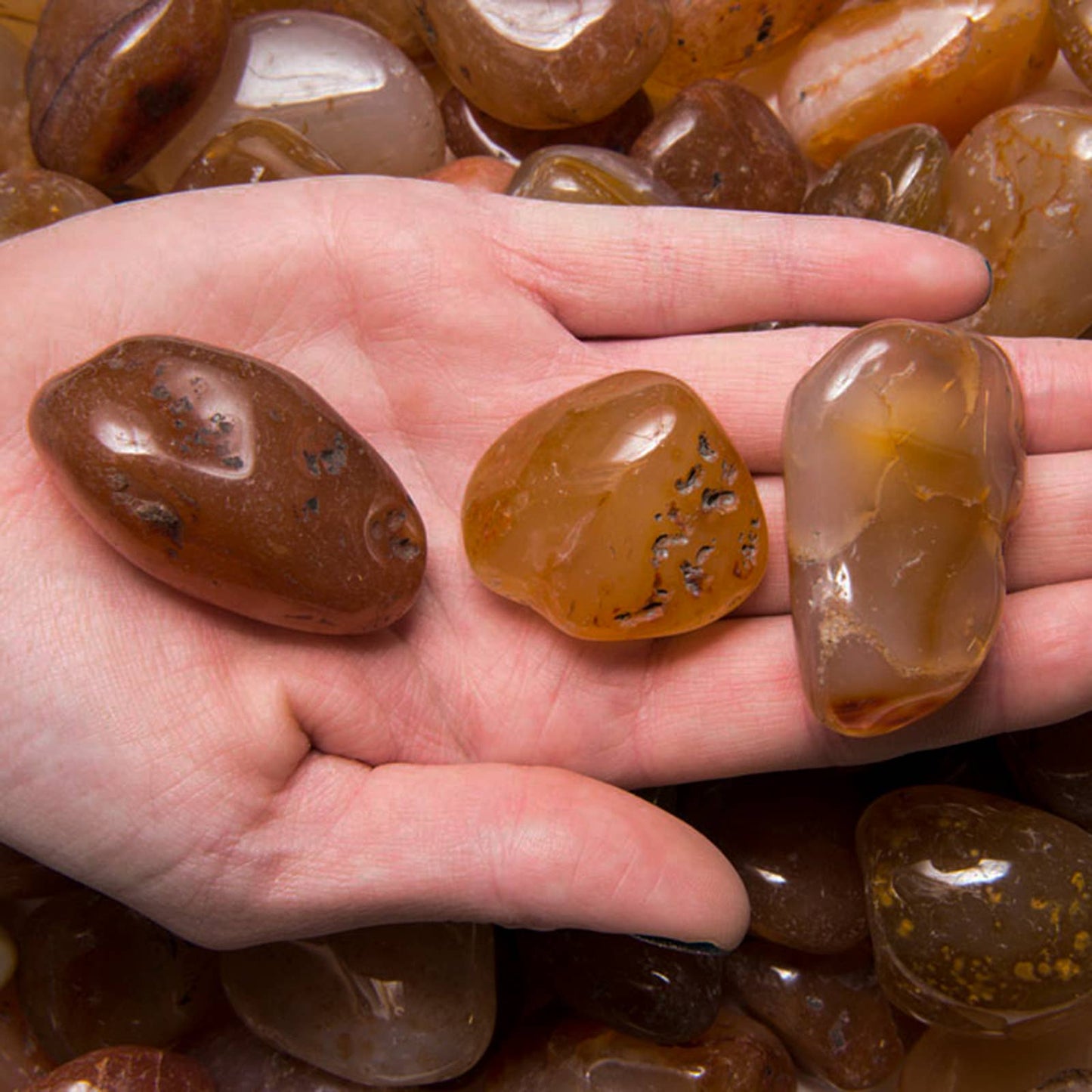 Tumbled Carnelian - L - B Grade - Brazil (1 lb)