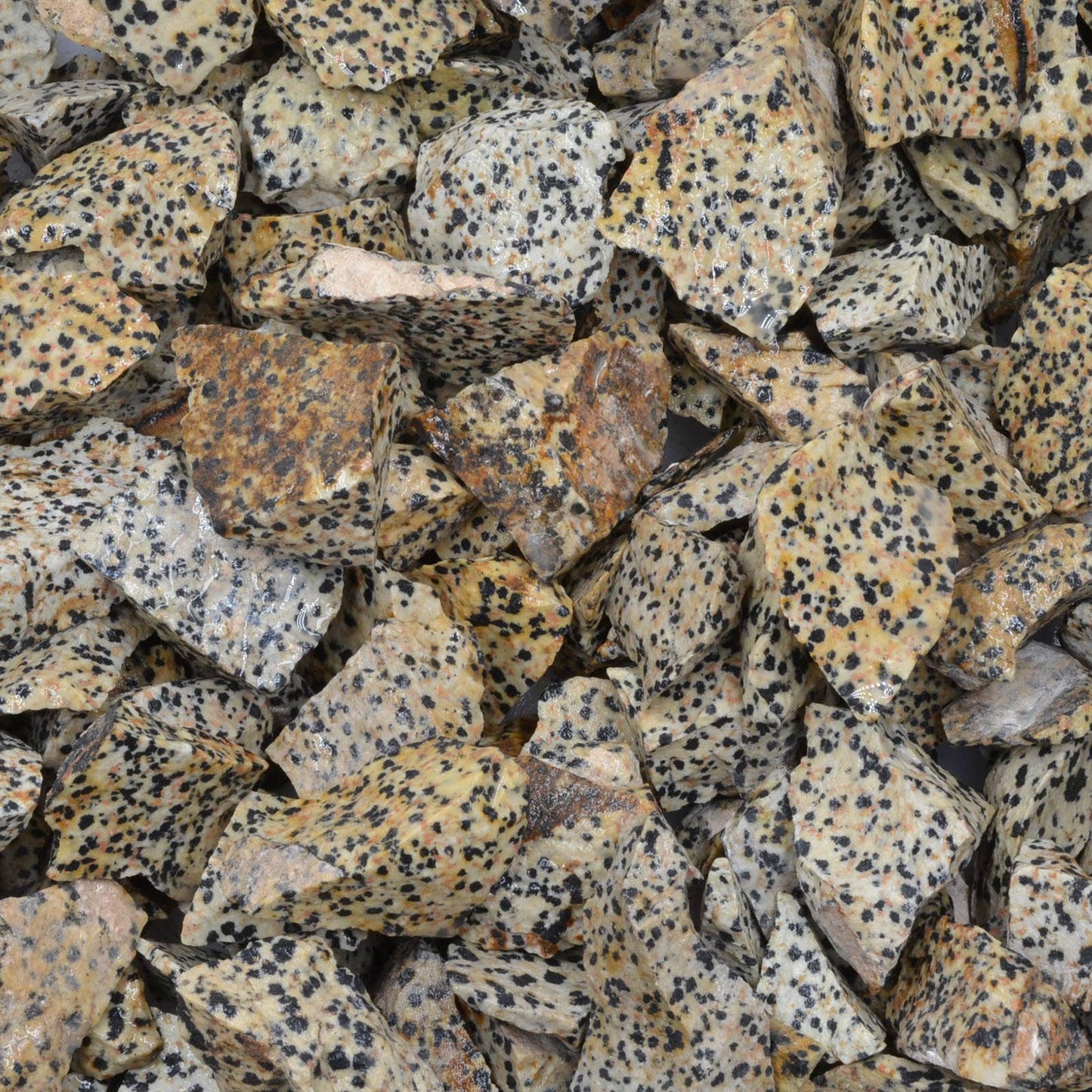 Rough Dalmation Jasper -Mexico-1-2" Raw Natural Stones (1lb)