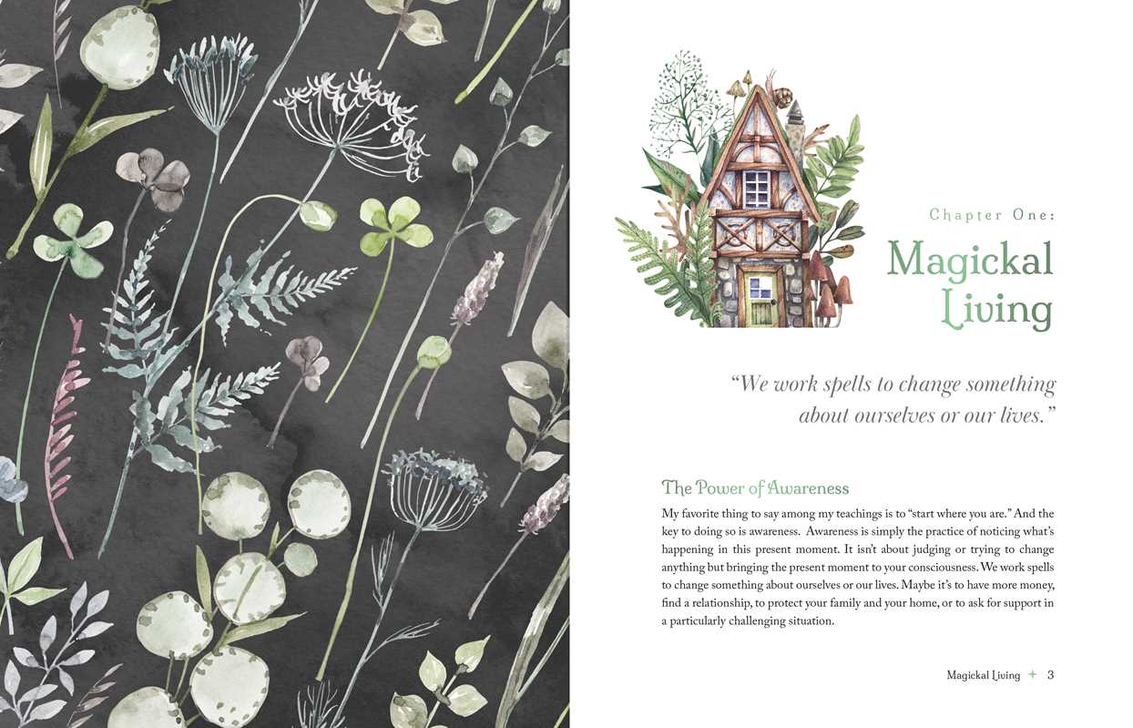 Witch's Apothecary: Seasons of the Witch by Lorriane Anderson: Hardcover