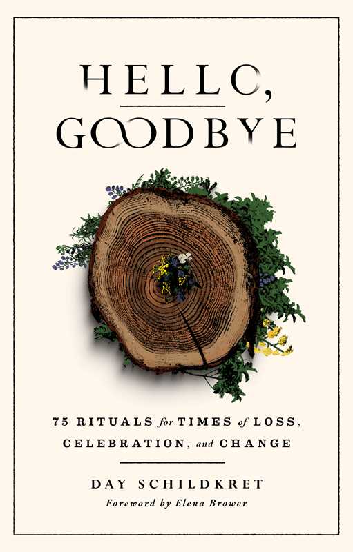 Hello, Goodbye by Day Schildkret: Paperback; 464 pages / English