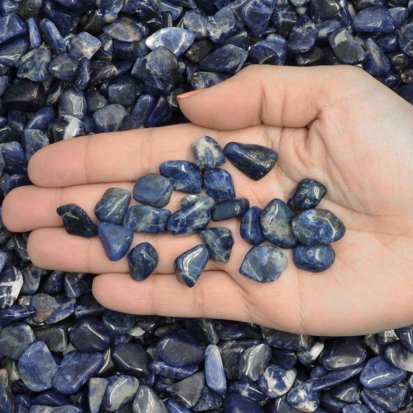 Tumbled Sodalite - XXS - A Grade - Brazil (1 lb)