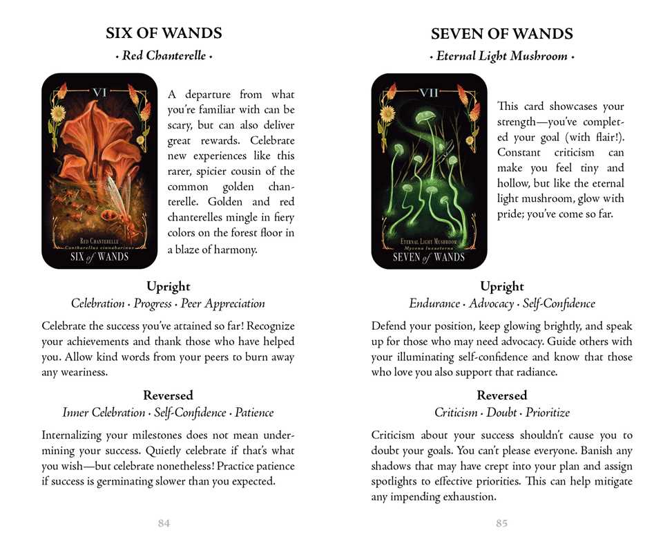 Mushroom Tarot Deck | Midnight Magic by Sara Richard