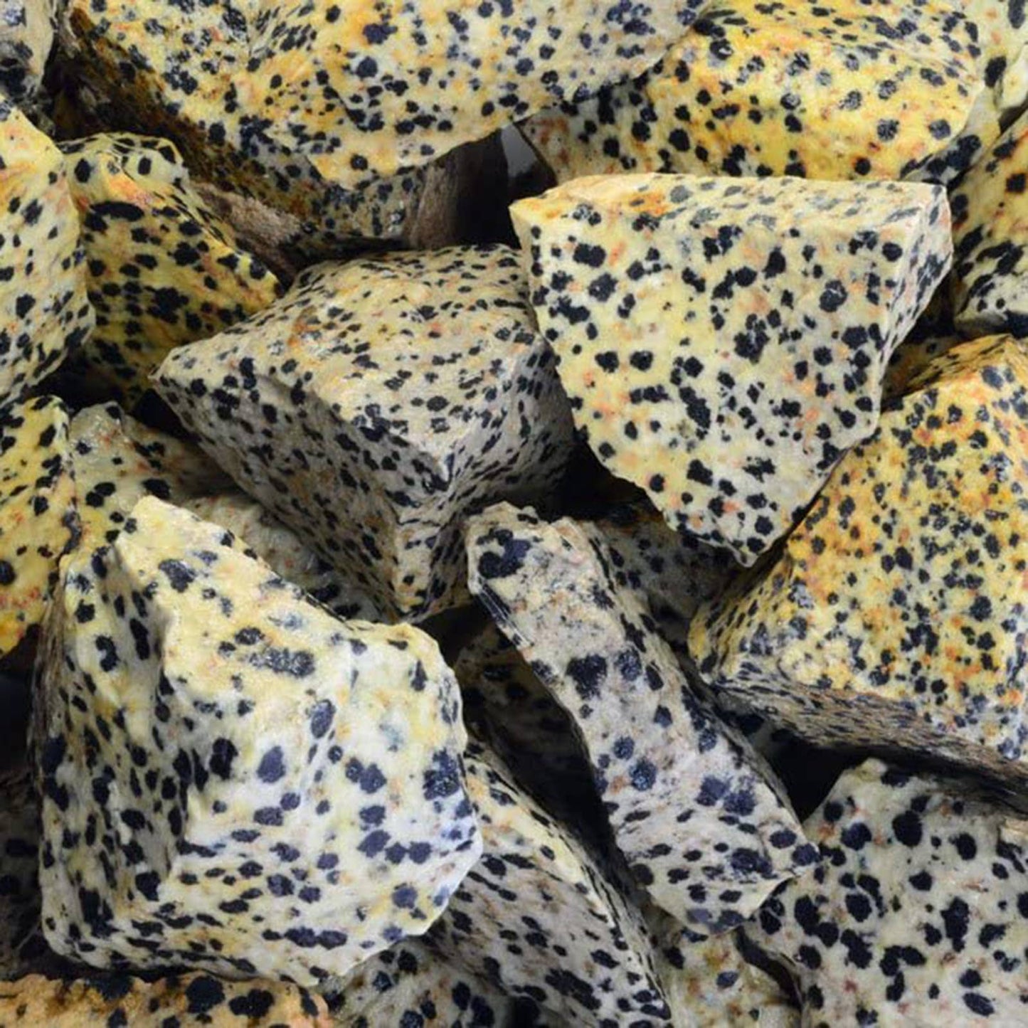 Rough Dalmation Jasper -Mexico-1-2" Raw Natural Stones (1lb)