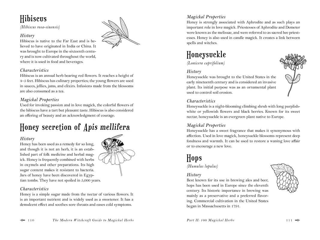 Modern Witchcraft Guide to Magickal Herbs by Judy Ann Nock | Hardcover