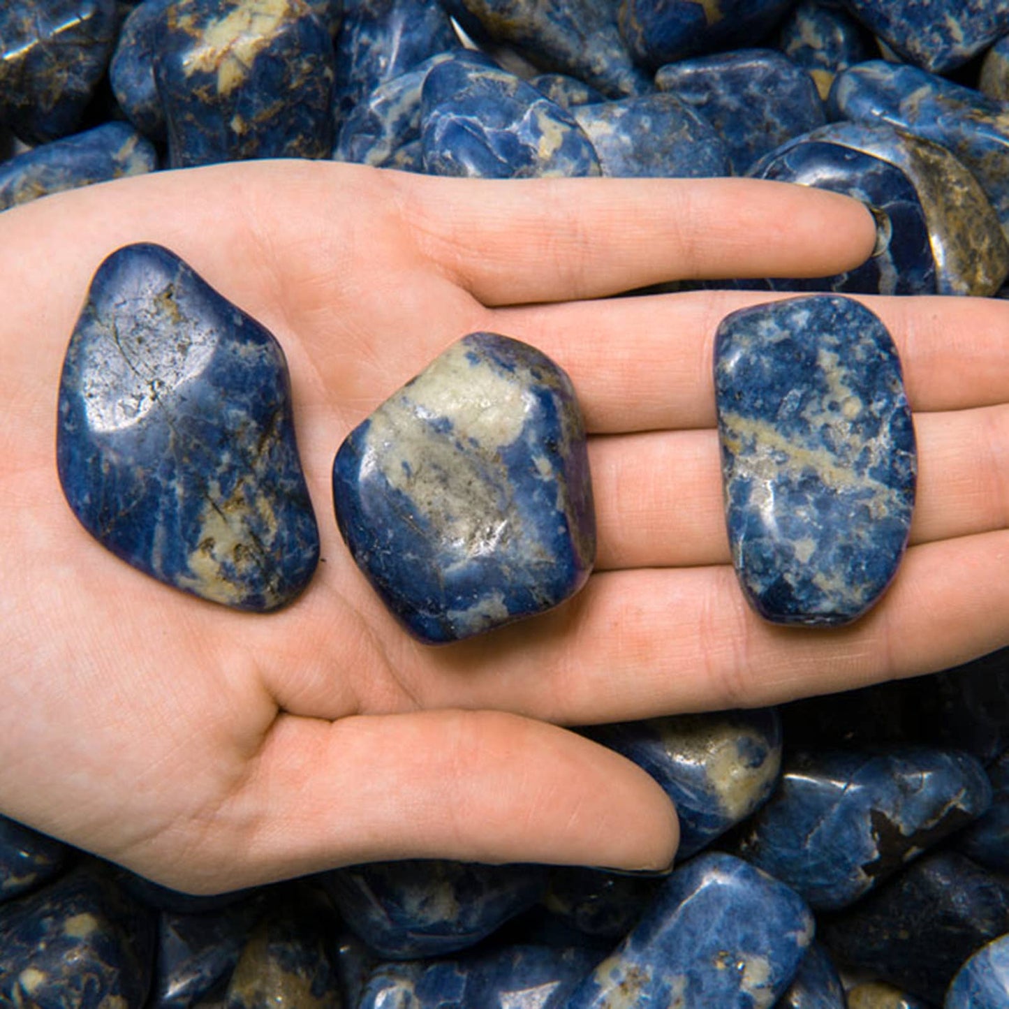 Tumbled Sodalite - L - B Grade - Brazil (1 lb)