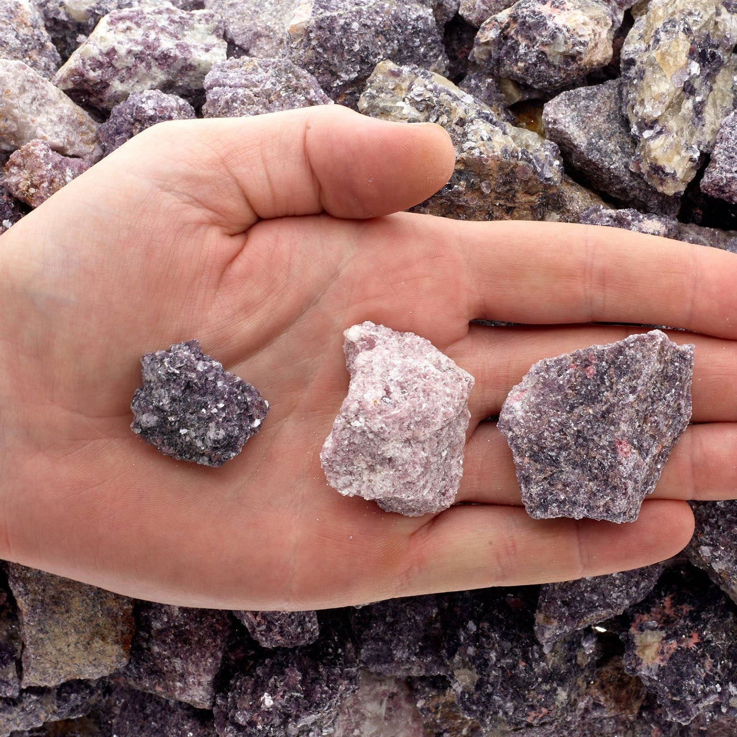 Rough Lepidolite - India - Raw Natural Stones (1 lb)
